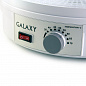 Электросушилка для продуктов Galaxy GL2631